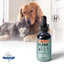 Load image into Gallery viewer, Full Spectrum Hemp CBD Oil for Pets (Click here for updated information)