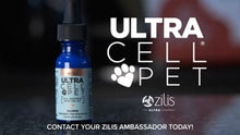 Load and play video in Gallery viewer, Full Spectrum Hemp CBD Oil for Pets - Zilis
