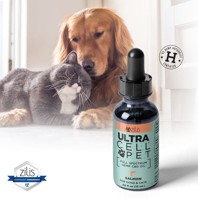 Full Spectrum Hemp CBD Oil for Pets - Zilis